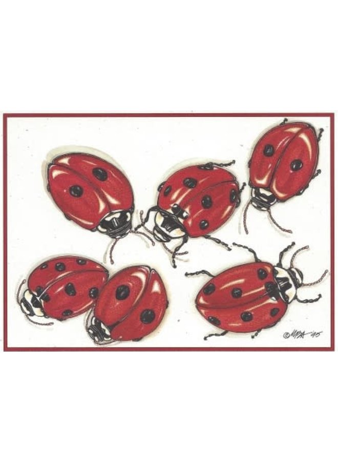 Ladybugs - Box of 8