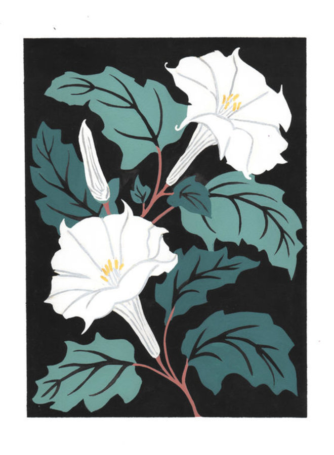 Set of 8 - Lesley Goren