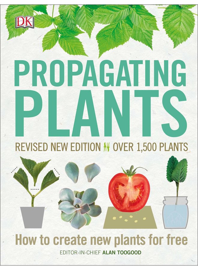 Propagating Plants: How to Create New Plants for Free