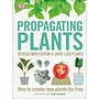 Propagating Plants: How to Create New Plants for Free