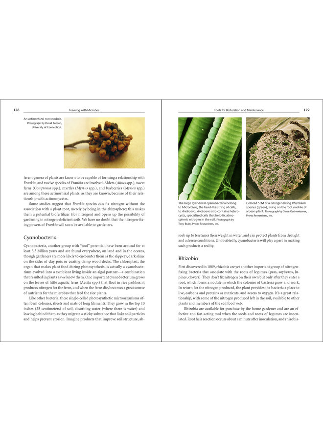 Teaming with Microbes: The Organic Gardener's Guide to the Soil Food Web