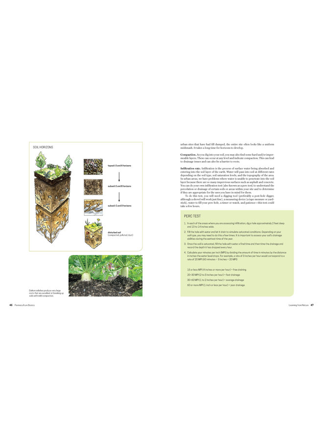 Practical Permaculture for Home Landscapes, Your Community, and the Whole Earth