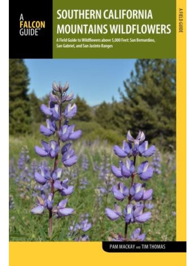 Southern California Mountains Wildflowers