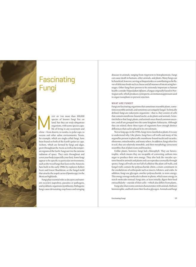 Teaming With Fungi: The Organic Grower's Guide to Mycorrhizae