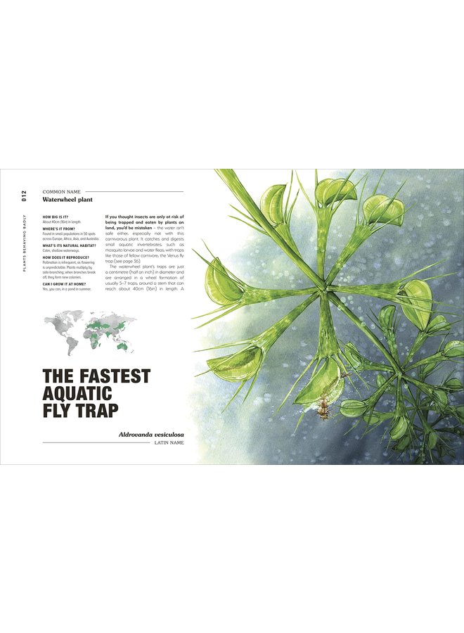 Hortus Curious: Discover the World's Most Weird and Wonderful Plants and Fungi