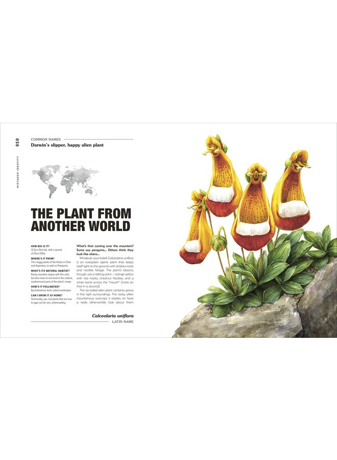 Hortus Curious: Discover the World's Most Weird and Wonderful Plants and Fungi