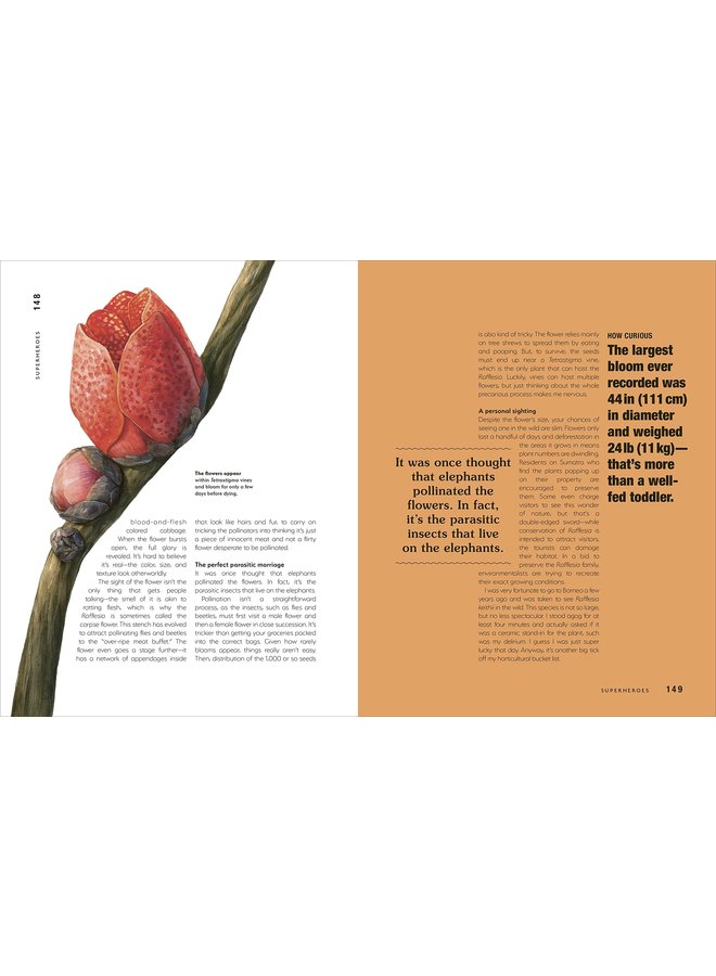 Hortus Curious: Discover the World's Most Weird and Wonderful Plants and Fungi