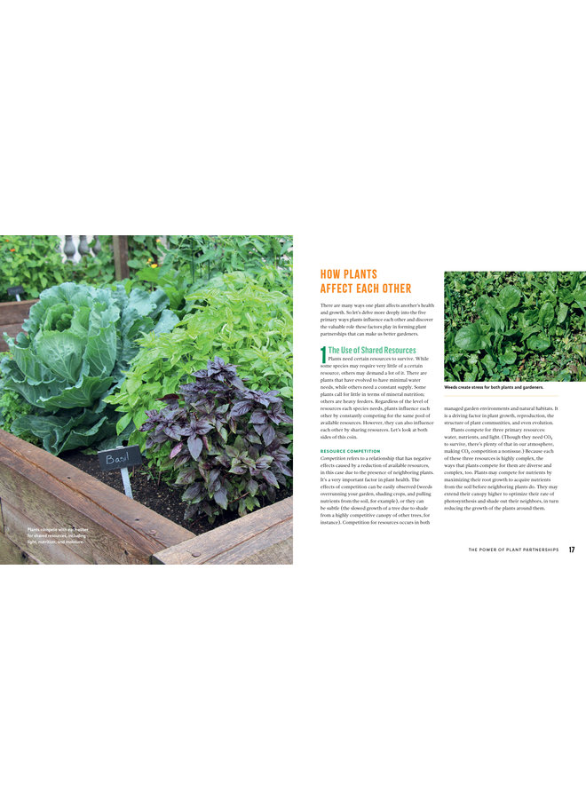 Plant Partners: Science-Based Companion Planting Strategies for the Vegetable Garden