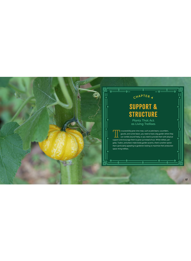 Plant Partners: Science-Based Companion Planting Strategies for the Vegetable Garden