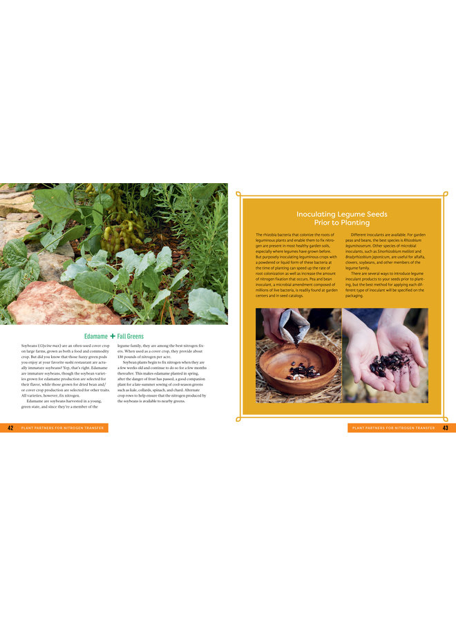 Plant Partners: Science-Based Companion Planting Strategies for the Vegetable Garden