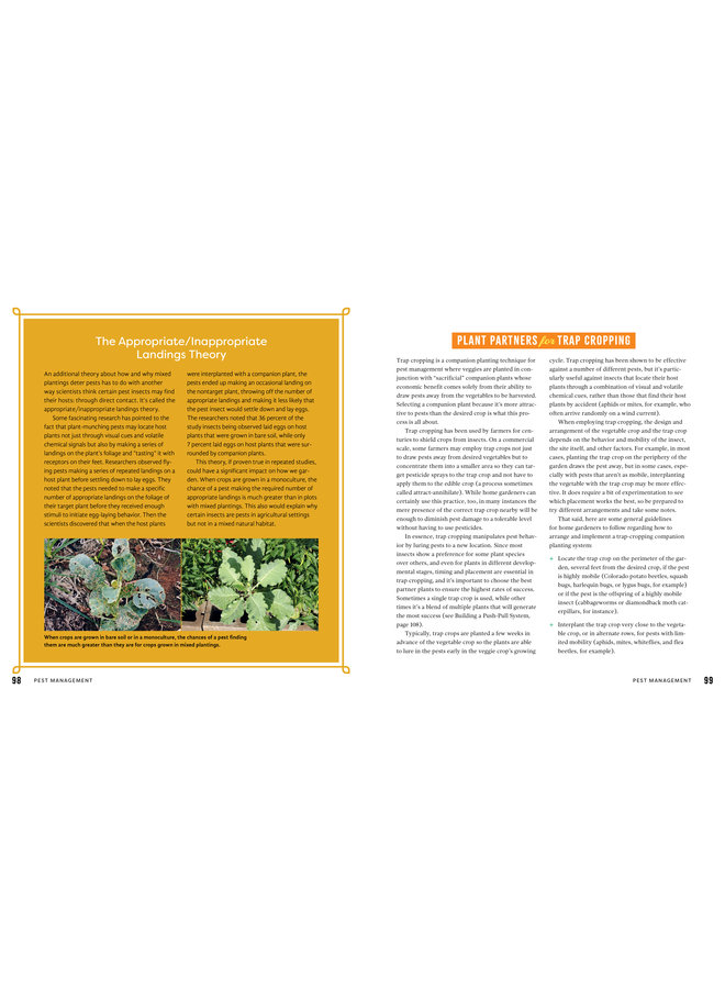 Plant Partners: Science-Based Companion Planting Strategies for the Vegetable Garden