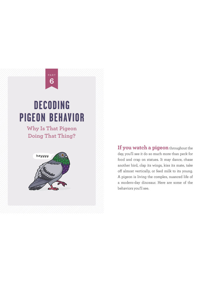 A Pocket Guide to Pigeon Watching: Getting to Know the World's Most Misunderstood Bird