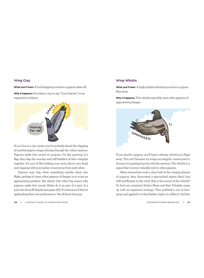 A Pocket Guide to Pigeon Watching: Getting to Know the World's Most Misunderstood Bird