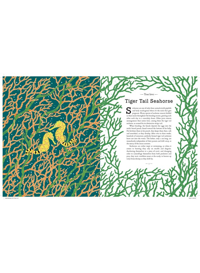 A Wild Child's Guide to Endangered Animals