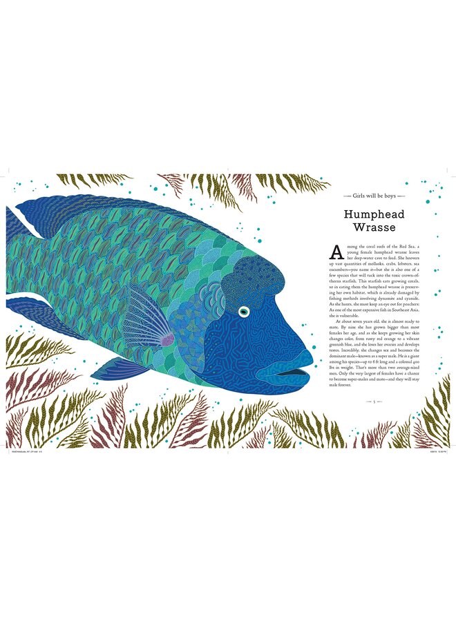 A Wild Child's Guide to Endangered Animals