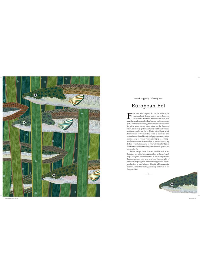 A Wild Child's Guide to Endangered Animals