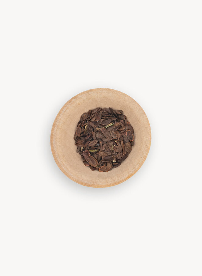 Asclepias fascicularis - Narrow Leaf Milkweed (Seed)