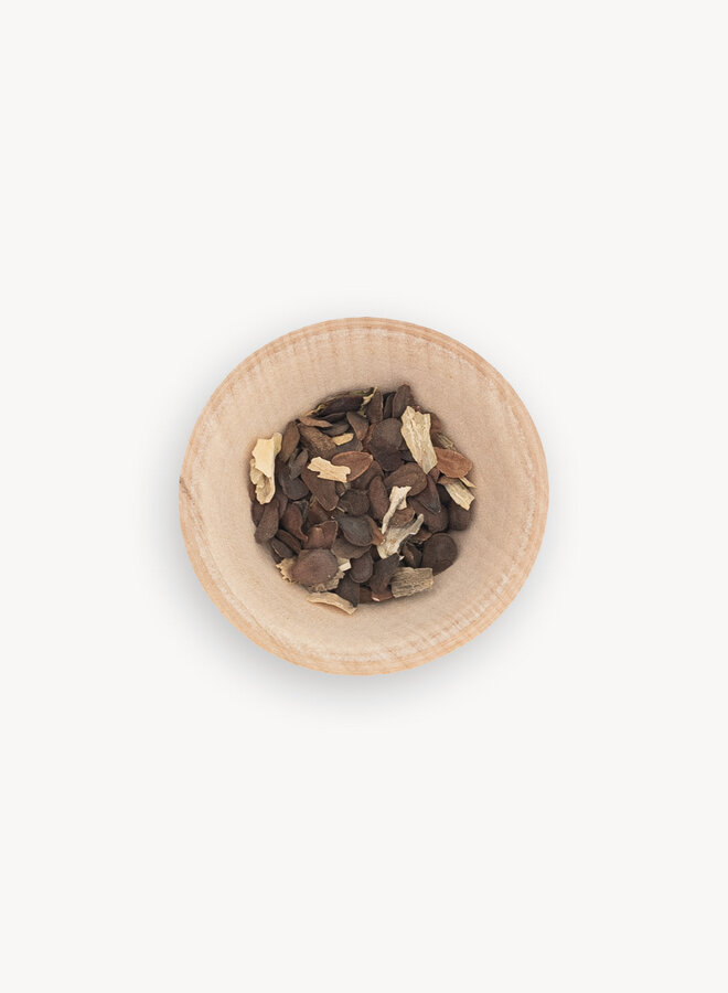 Asclepias eriocarpa - Kotolo or Indian Milkweed (Seed)