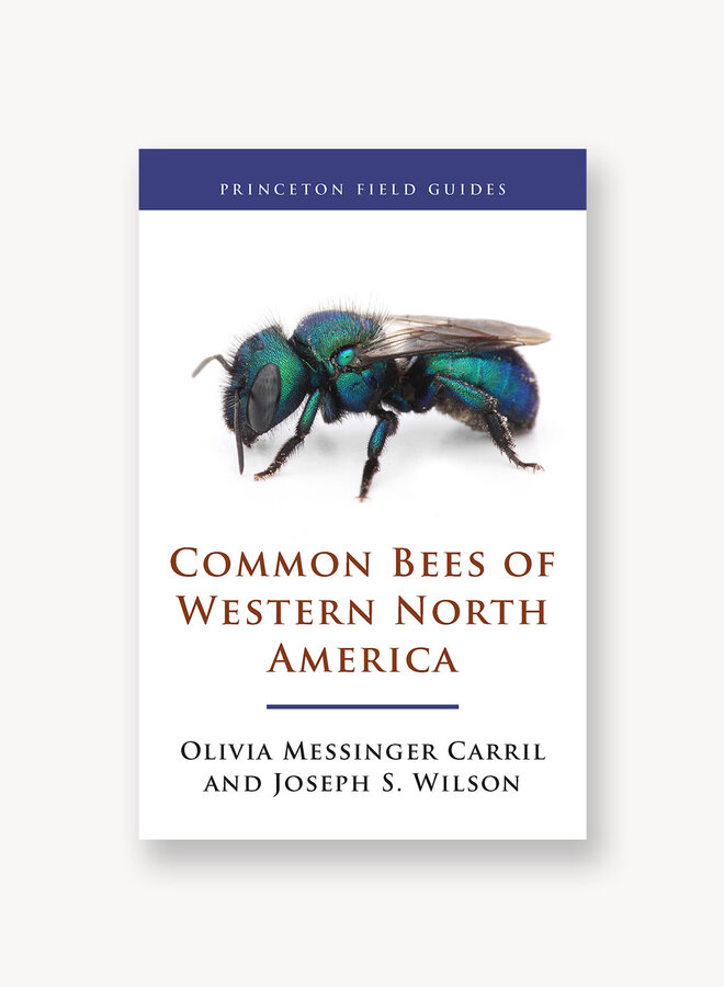 Common Bees of Western North America