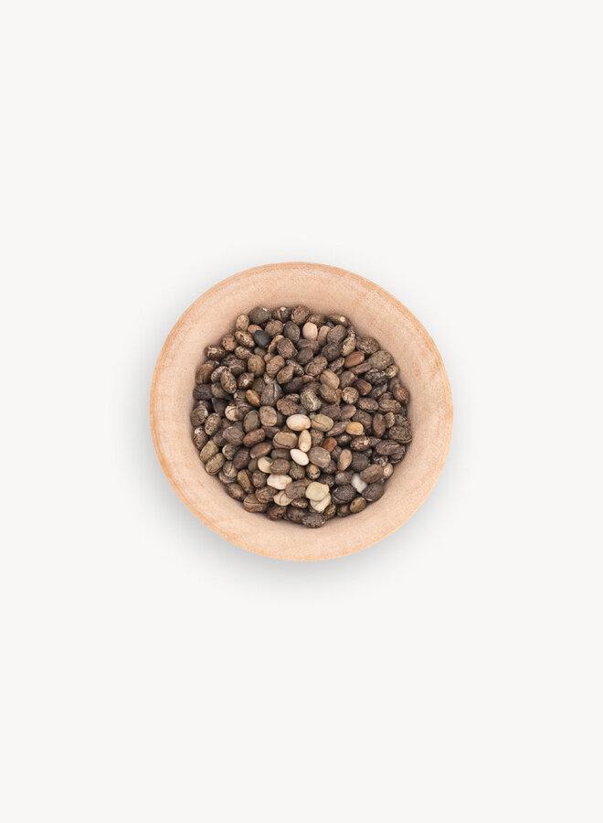 Lupinus succulentus - Arroyo Lupine (Seed)