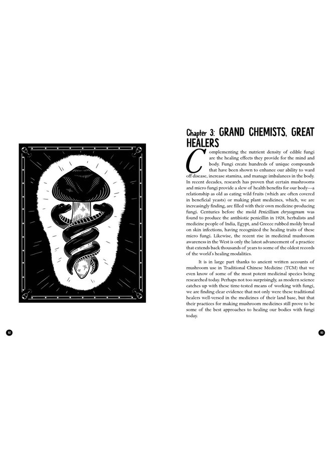 The Mycocultural Revolution: Transforming Our World with Mushrooms, Lichens, and Other Fungi