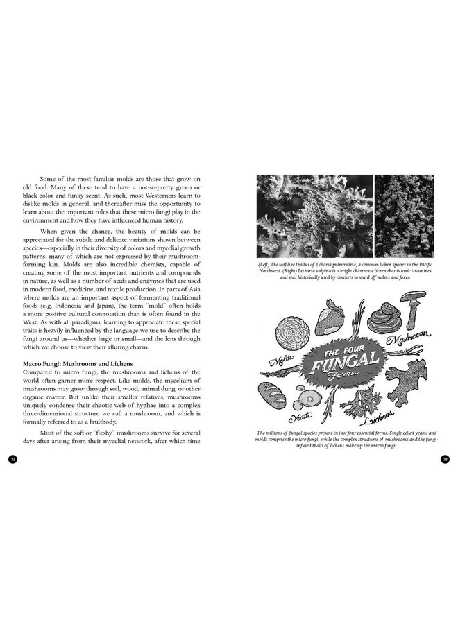 The Mycocultural Revolution: Transforming Our World with Mushrooms, Lichens, and Other Fungi