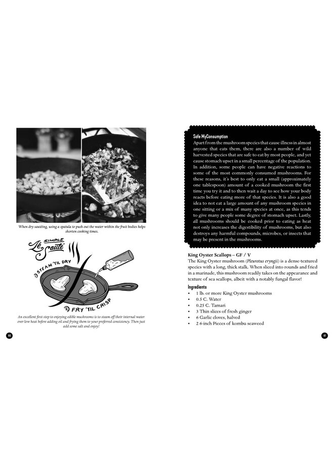 The Mycocultural Revolution: Transforming Our World with Mushrooms, Lichens, and Other Fungi