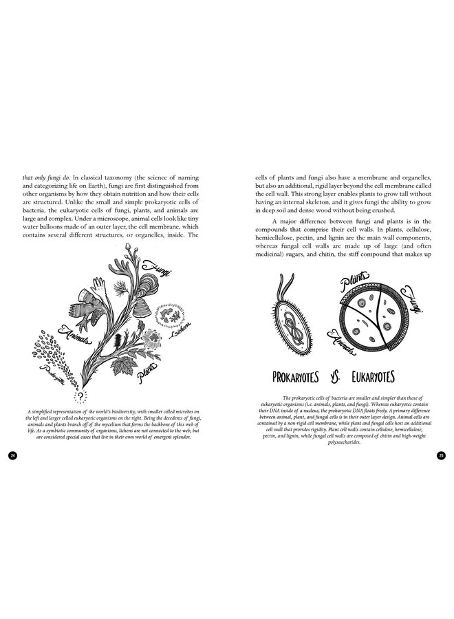 The Mycocultural Revolution: Transforming Our World with Mushrooms, Lichens, and Other Fungi