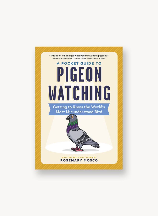 A Pocket Guide to Pigeon Watching: Getting to Know the World's Most Misunderstood Bird