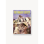 The Mojave Desert Zine