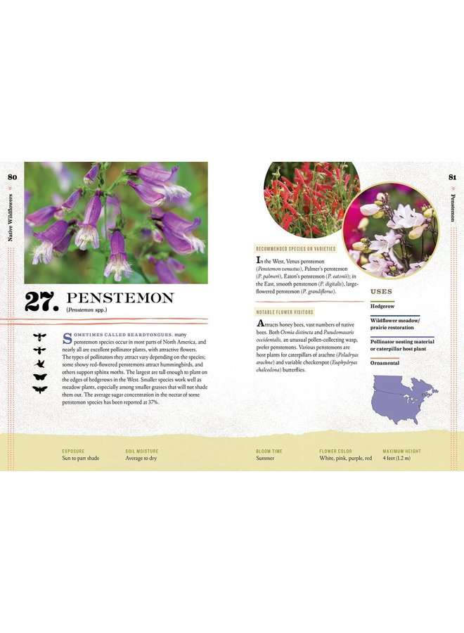 100 Plants to Feed The Bees