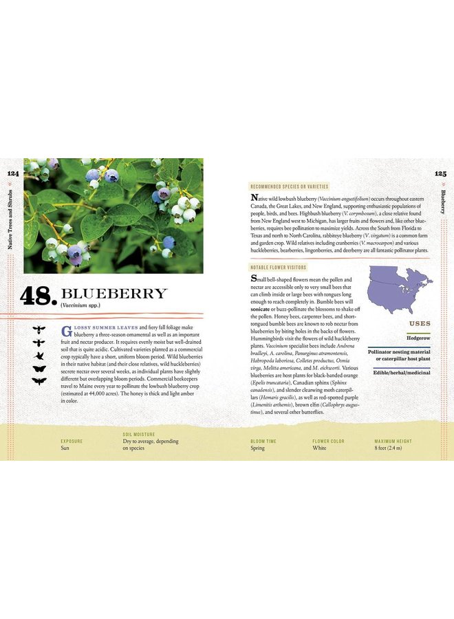 100 Plants to Feed The Bees