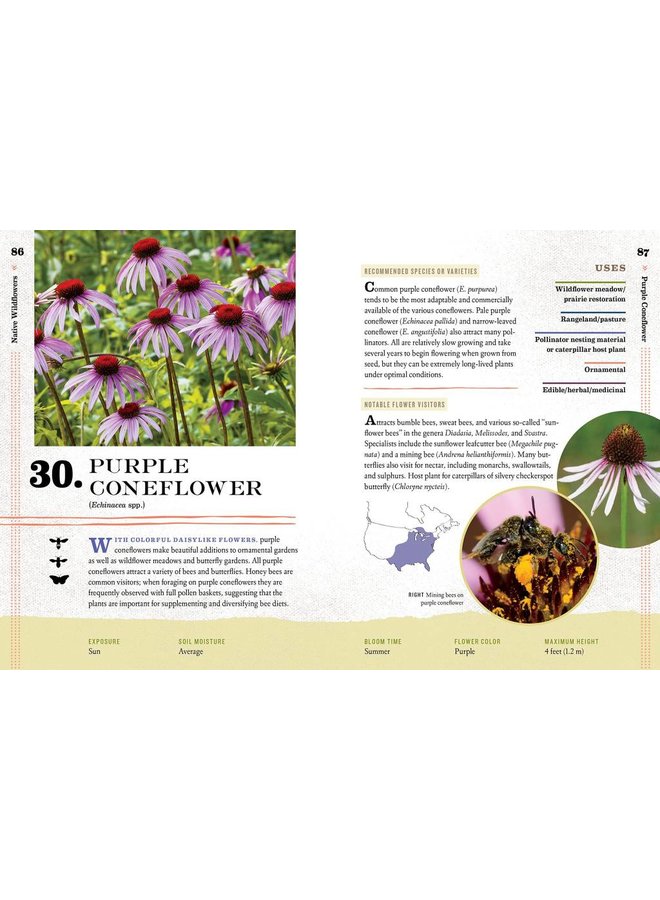 100 Plants to Feed The Bees