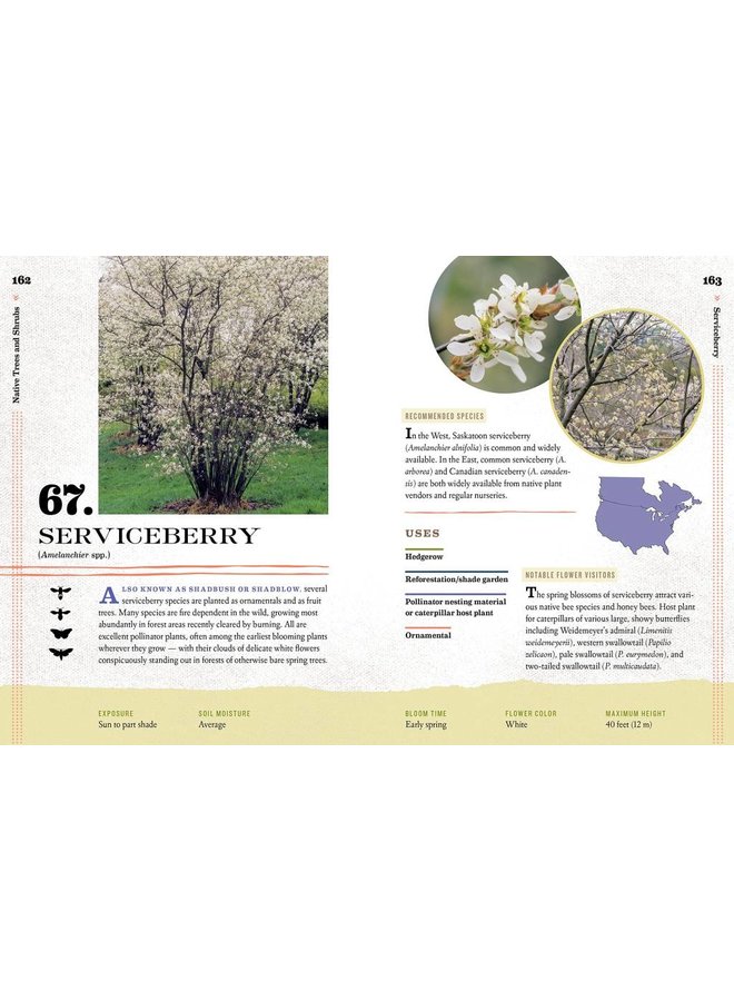 100 Plants to Feed The Bees