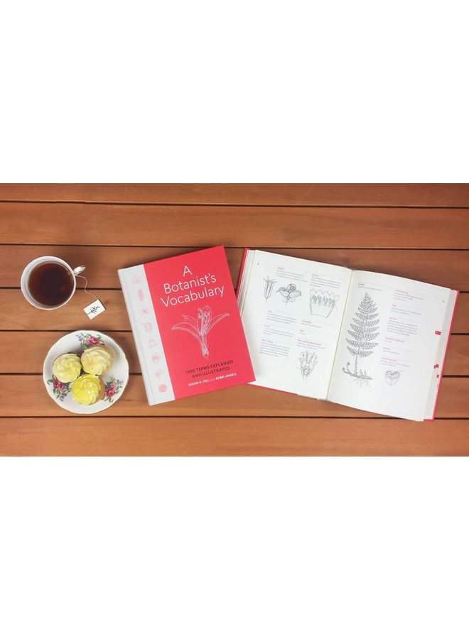 A Botanist's Vocabulary: 1300 Terms Explained and Illustrated