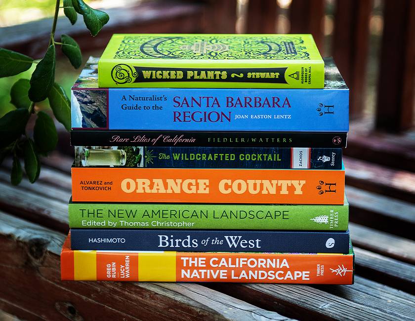 Nature-inspired reading 