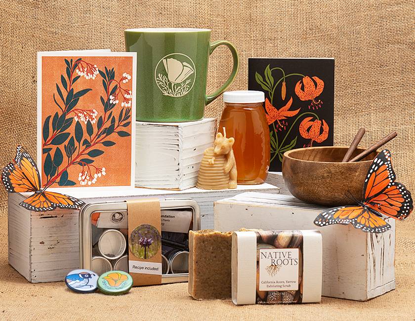 Nature-inspired reading 