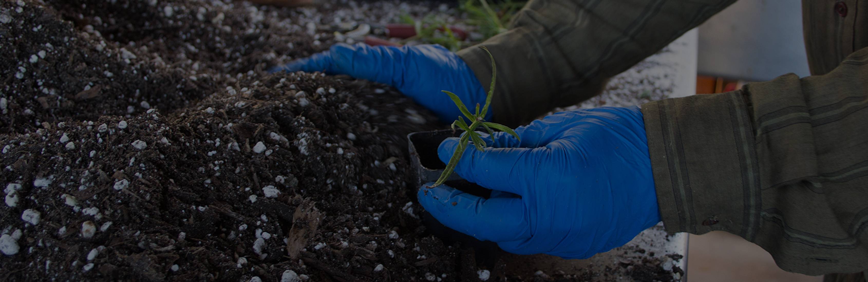 Support Ecological Harmony in California