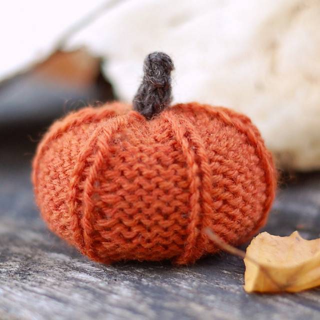 Thanksgiving Pumpkin Kit