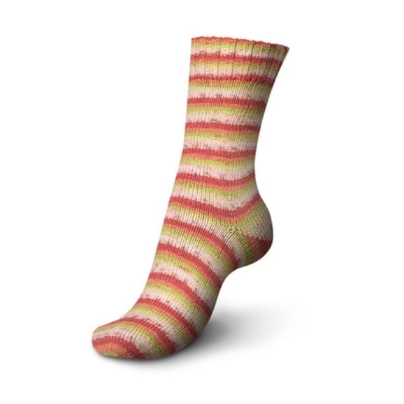 Regia Regia 4 Ply Cotton Color
