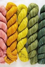 Manos Del Uruguay Manos Fino Mini Skein Kits