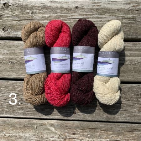 The Fibre Company Ninilchik Swoncho Kits-Arranmore Light