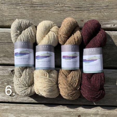 The Fibre Company Ninilchik Swoncho Kits-Arranmore Light