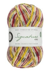 West Yorkshire Spinners WYS Signature 4 Ply Self Striping or Patterning