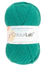West Yorkshire Spinners WYS Colourlab DK