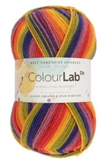 West Yorkshire Spinners WYS Colourlab DK