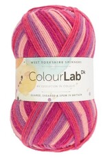 West Yorkshire Spinners WYS Colourlab DK