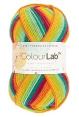 West Yorkshire Spinners WYS Colourlab DK