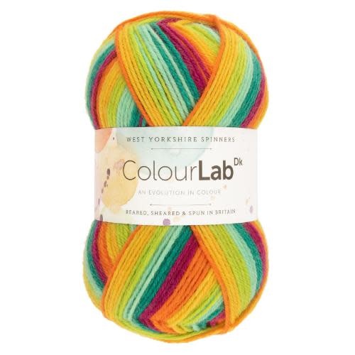 West Yorkshire Spinners WYS Colourlab DK