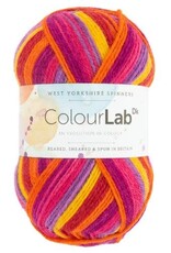 West Yorkshire Spinners WYS Colourlab DK